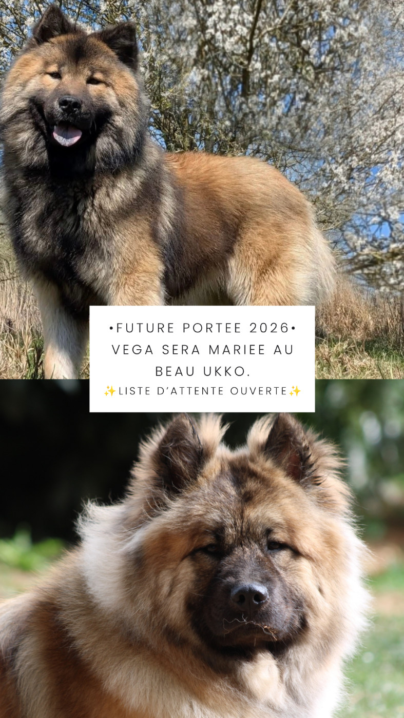 Future Portée 2026